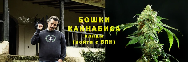 дурь Болотное