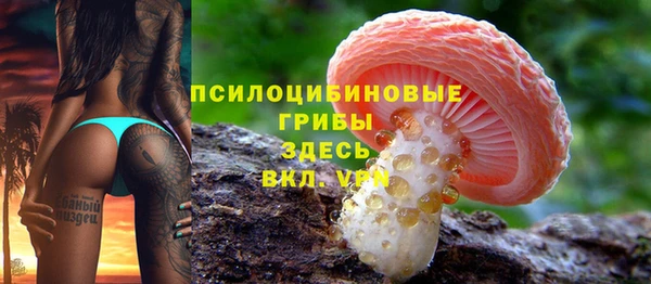 а пвп мука Осинники