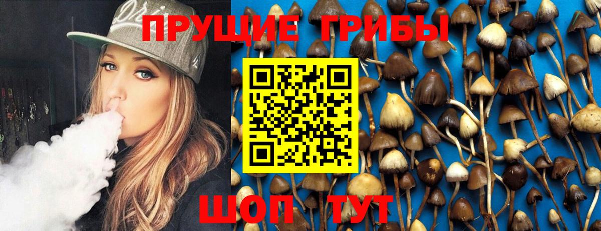 Йошкар-Ола  Галлюциногенные грибы Cubensis  Вход с VPN  Псилоцибиновые грибы мицелий 