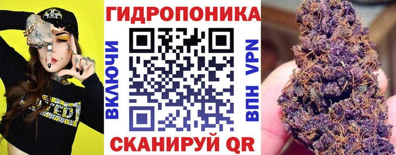 Бошки Шишки VHQ  Йошкар-Ола 